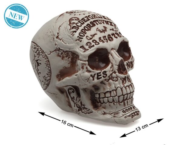 Cabeza Calavera