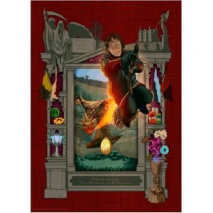 Puzzle de 1000 Piezas de Harry Potter con Escoba